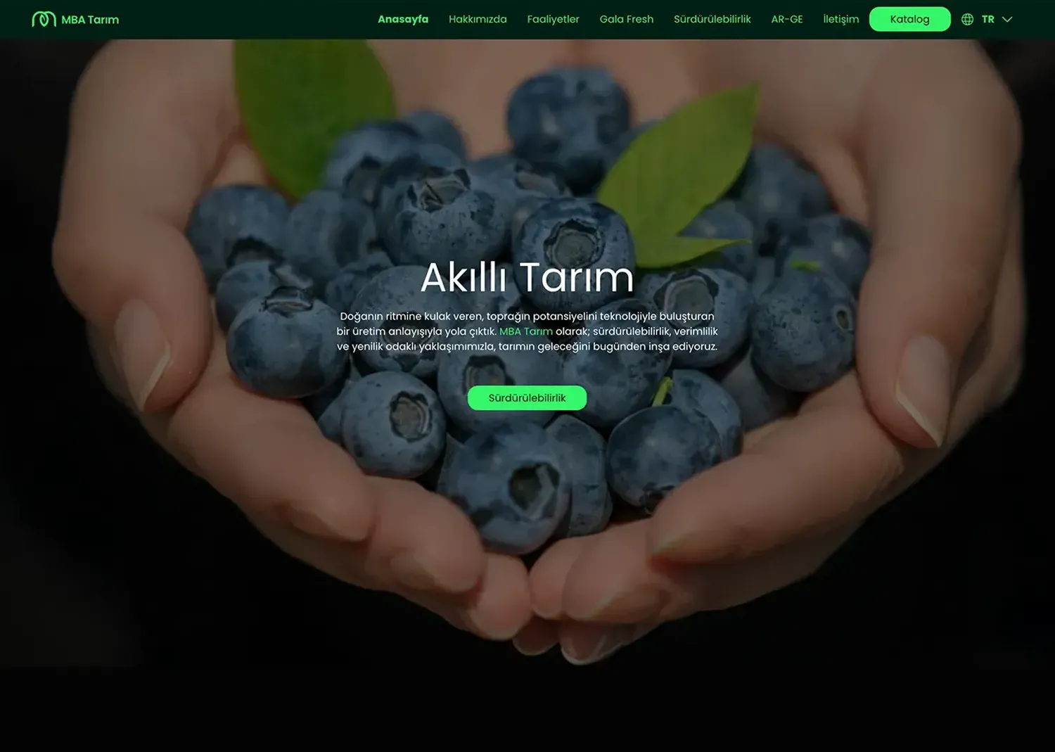 MBA Tarım: MBA Tarım kurumsal web sitesi tasarımı — Klyne Creative Studio