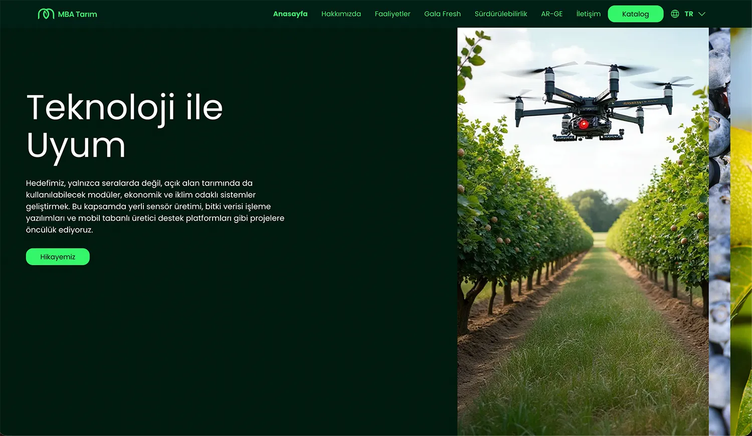 MBA Tarım: MBA Tarım kurumsal web sitesi tasarımı — Klyne Creative Studio