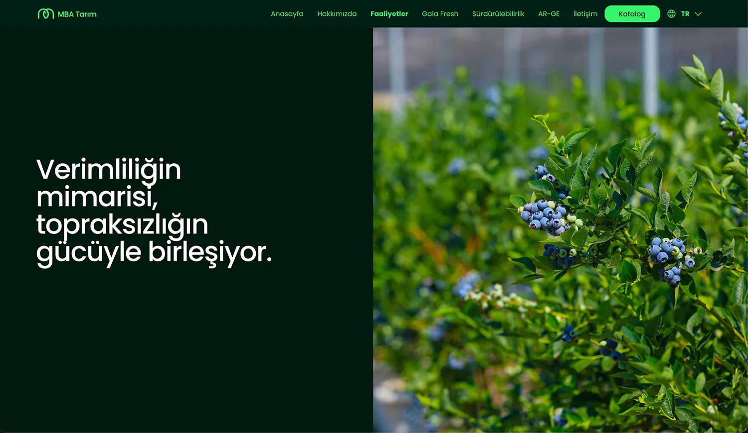 MBA Tarım: MBA Tarım kurumsal web sitesi tasarımı — Klyne Creative Studio