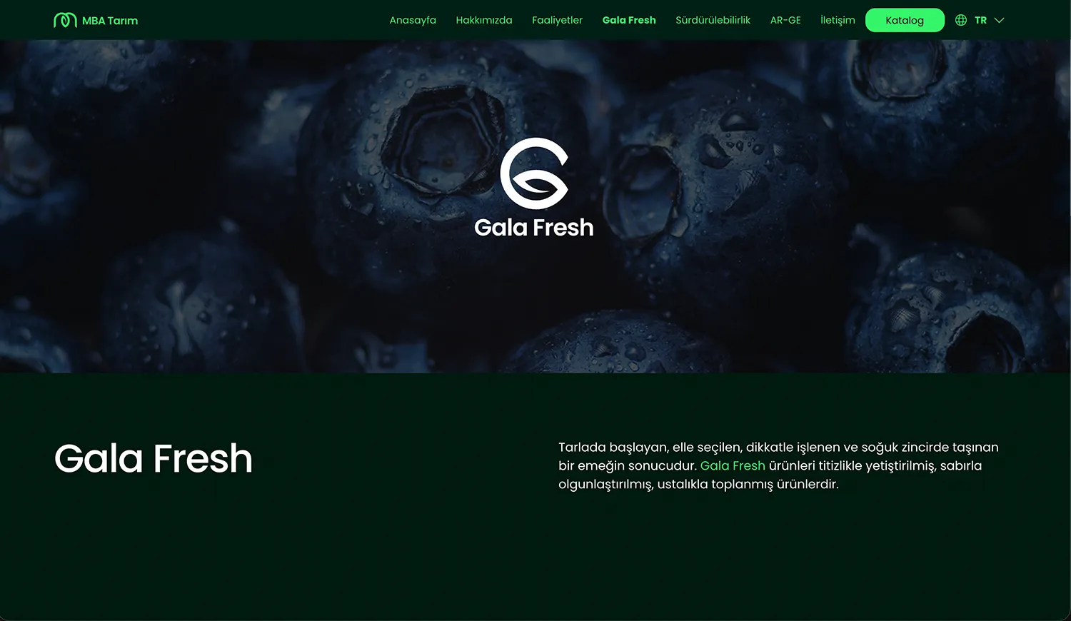 MBA Tarım: MBA Tarım kurumsal web sitesi tasarımı — Klyne Creative Studio