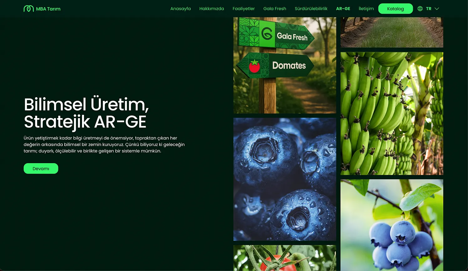 MBA Tarım: MBA Tarım kurumsal web sitesi tasarımı — Klyne Creative Studio